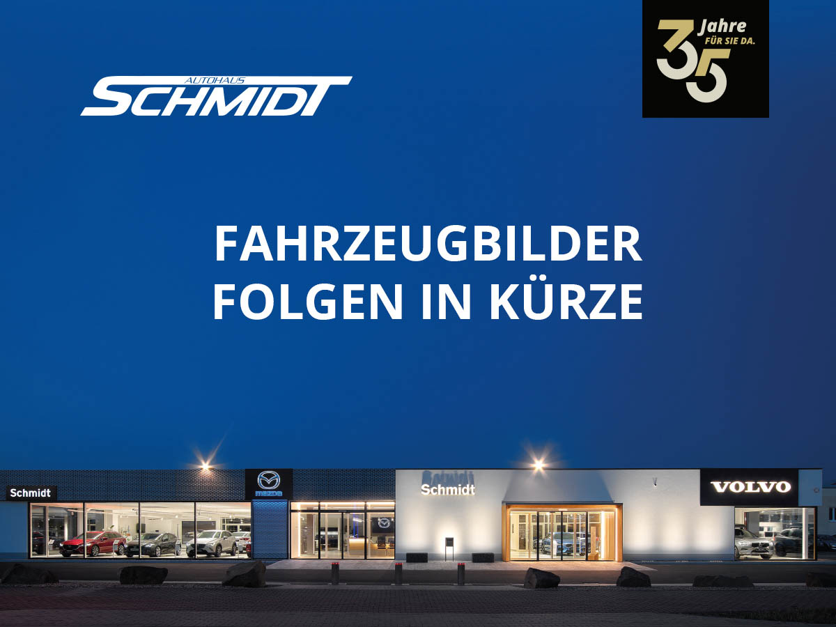 Ford Fiesta (CE1)(2017->) Active Plus  