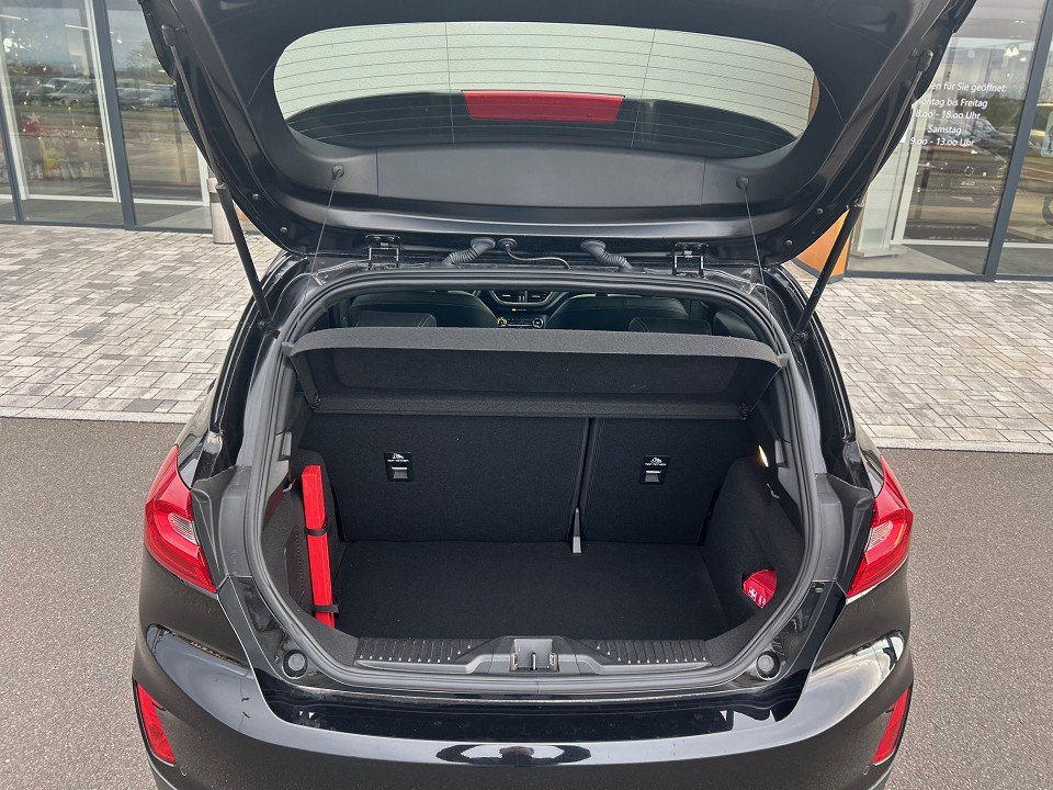 Ford Fiesta (CE1)(2017->) Active Plus  